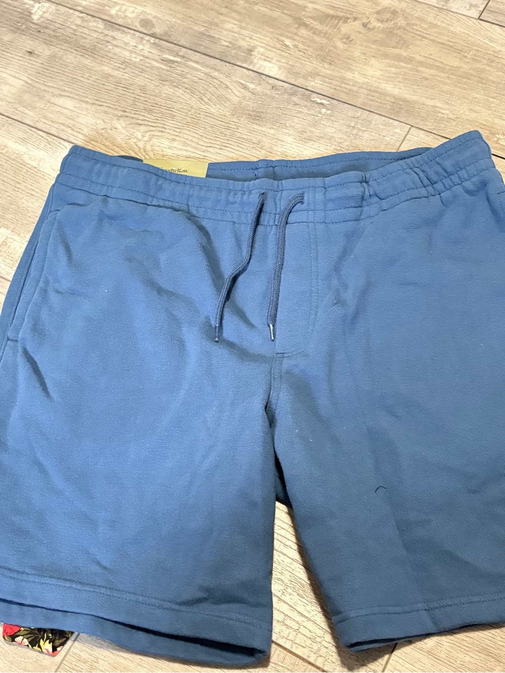 Goodfellow & Co Blue Men’s Casual Drawstring Shorts